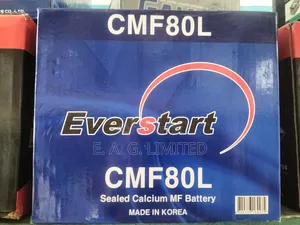 Everstart Cmf80l 80ah 12v Sealed Calcium Mf Battery. Korean