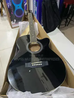 Electro Acoustic Smiger Ga-H10 Guitar