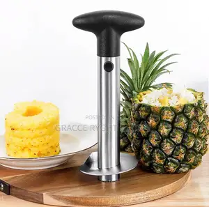 Stainless Pineapple Peeler and Slicer