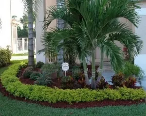 Outdoor Beautification