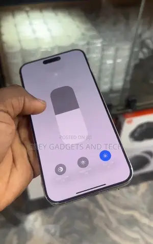 Apple iPhone 15 Pro Max 256 GB Gray