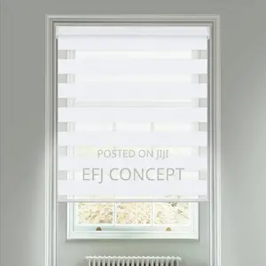 Petra White Vision Day and Night Window Blind