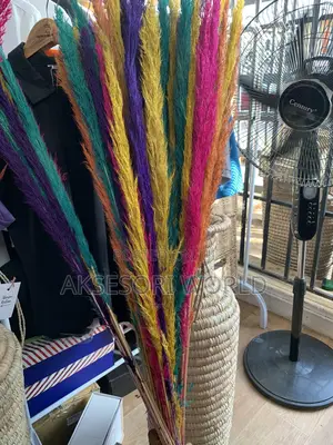 Colored Pampas Flower for Vase