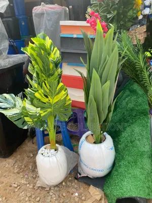 Luxury Potted Plant