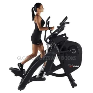 Commercial Upright Bike
