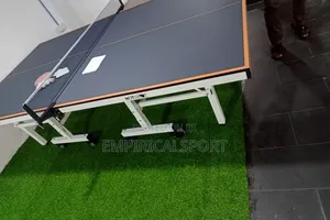 Olympic Standard Table Tennis Board