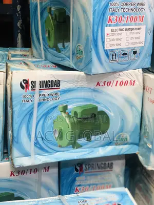 Springdab Surface Pump
