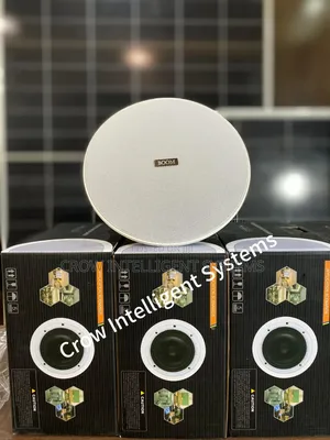 Ceiling Speaker