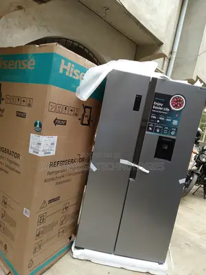 Frost-Free Hisense Rc-67ws Double Door Refrigerator