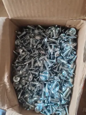 Tapping Screw