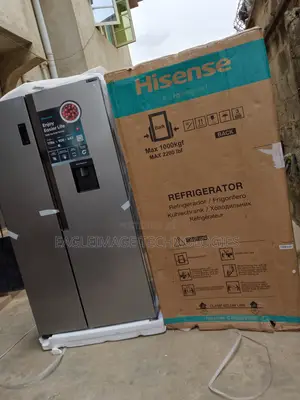 Perfect Hisense Rc-67ws Kitchen Refrigerator
