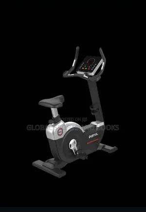 Commercial Upright Bike