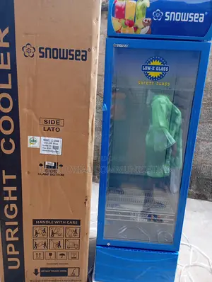 Chill With Confidence – Snowsea Lc-400w