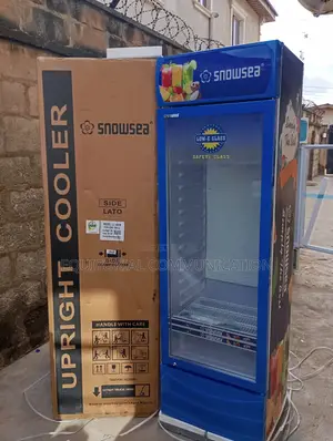 Snowsea Lc-400w 400l Commercial Beverage Display Fridge