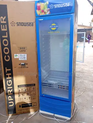 Snowsea Upright Display Fridge Lc-400w – Glass Door Cooler