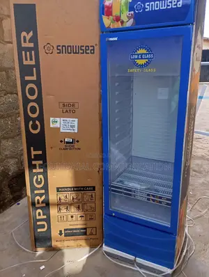Snowsea Upright Display Fridge Lc-400w – Glass Door Cooler