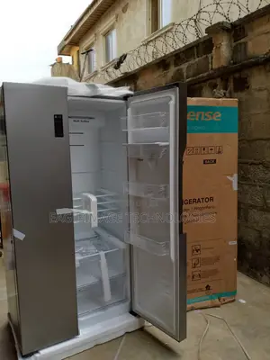 Functional Hisense Rc-67ws Silver Refrigerator