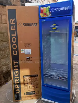 Snowsea Lc-400w for Hotels and Catering Services