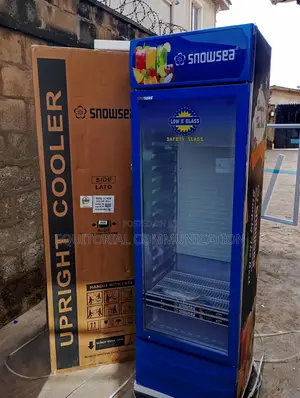 The Power of Precision Cooling – Snowsea Lc-400w Chiller