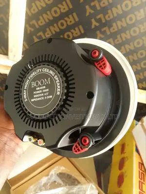 Boom 300w Ceiling Speaker