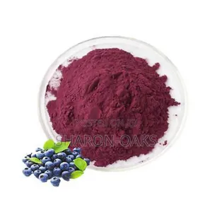 Bilberry Powder 500g