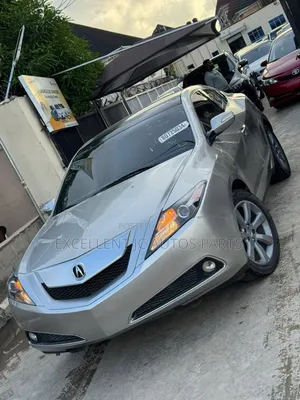 Acura ZDX Base AWD 2010 Gray