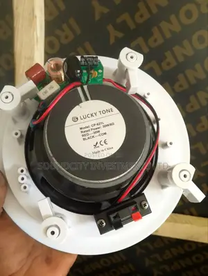 30w Lucky Tone Ceiling Speaker.