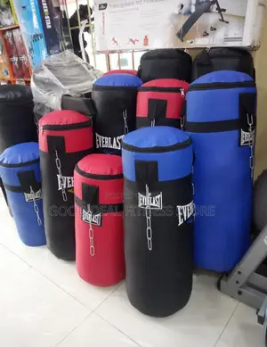 Standard Quality Punching Bags With Different Sizes.