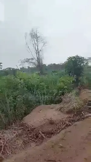 500 Acre Of Land For Sale @Agoro Acre