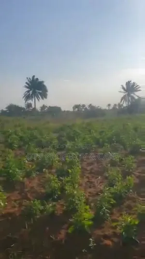 215 Acres of Land for Sale at Ogun #6m/Acre With C of O
