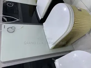 Luxurious Modern Toilet With Gold Accents