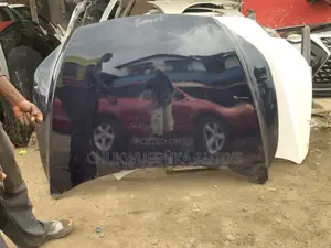 Bonnet Rx350 2024