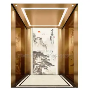 Compact Residential Modern Elevator