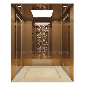 High Quality Luxury Panoramic Elevator