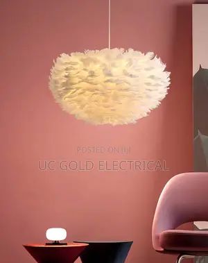 Modern Large Goose Feather Living Room