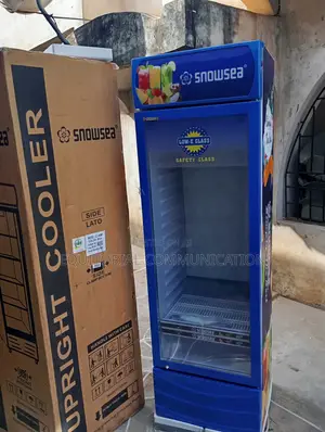 Snowsea Lc-400w – Heavy-Duty Cooling for Business
