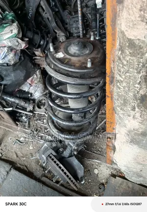 Complete Shock for Hyundai Santafie 2008