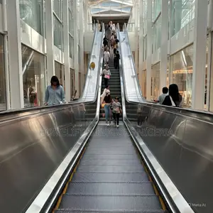 Parallel Escalators