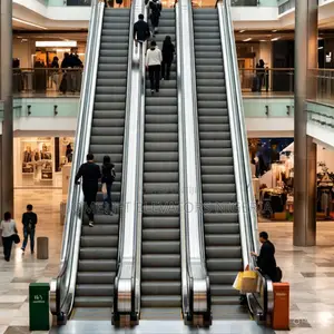 Multi - Speed - Escalators