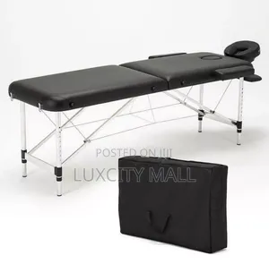 2 Section Alloy Iron Foldable Massage Bed