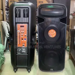 Amaz Double Pa System With 2handle Microphone