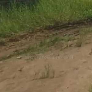Land Selling Hot at Ajao Estate