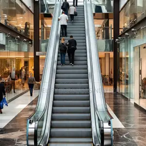 Portable 35° Escalator With 0.5mps Speed