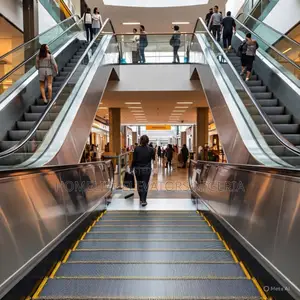 Spiral or Curved Escalators With 0.5mps Speed