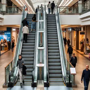 Public Transport Stations Escalator - Homelift Elevators