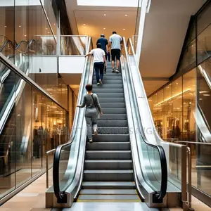 Escalator Elevator Stairs