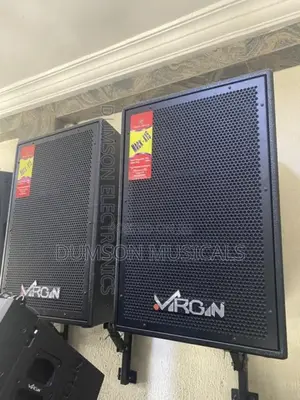 Virgin 15 Inches Hanging Speaker