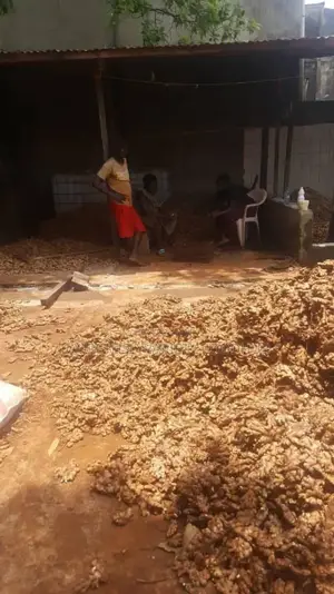 "Get Neatly Dried Split Ginger Today!"