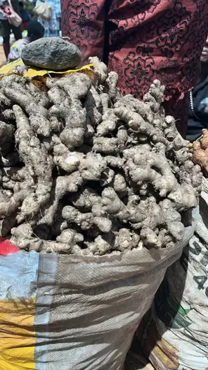 "Get Neatly Dried Split Ginger Today!"
