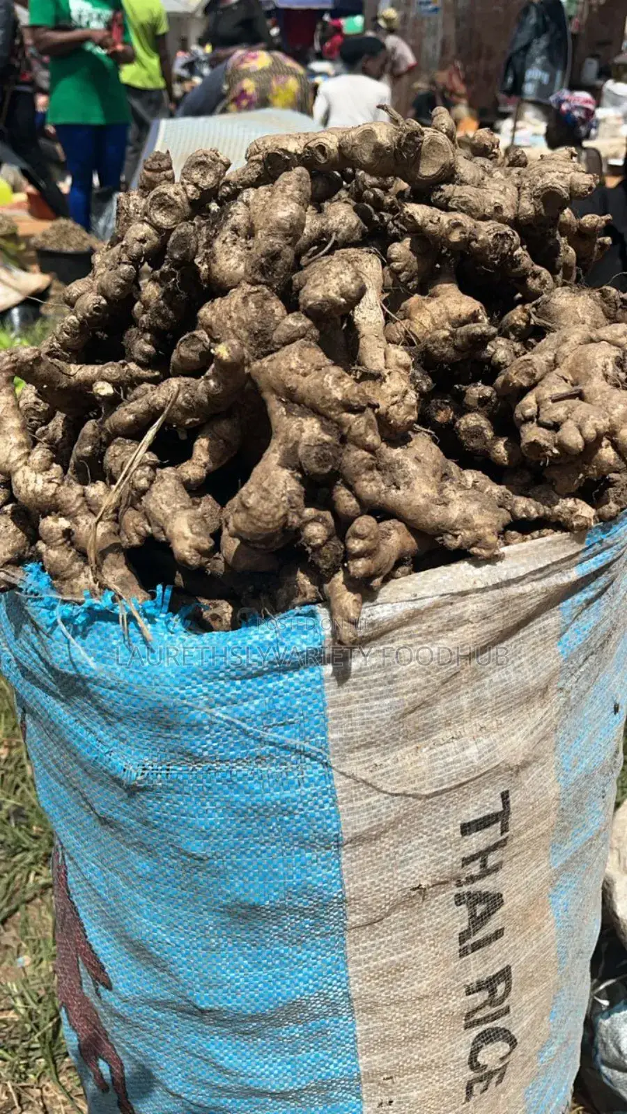 "Get Neatly Dried Split Ginger Today!"